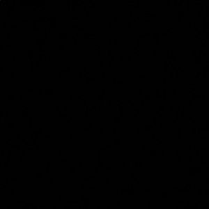 Meet your Posher, Corey